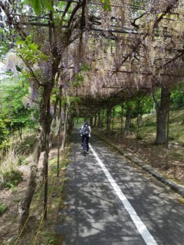 広島市安佐南区　建築設計事務所　かんくう建築デザイン　自転車