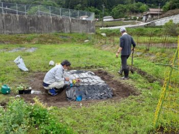 広島市安佐南区　建築設計事務所　かんくう建築デザイン　農作業