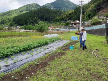 広島市安佐南区　建築設計事務所　かんくう建築デザイン　農作業