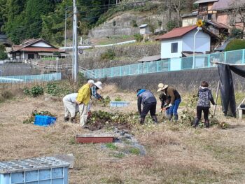 広島市安佐南区　建築設計事務所　かんくう建築デザイン　サツマイモ１