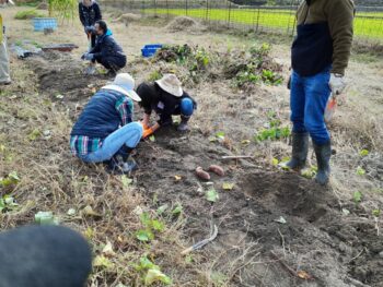 広島市安佐南区　建築設計事務所　かんくう建築デザイン　サツマイモ３