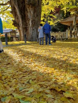 紅葉巡り弾丸ツアー～広島の建築設計ブログ～