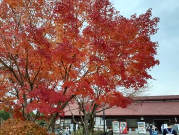 広島市安佐南区　建築設計事務所　かんくう建築デザイン　中央森林公園