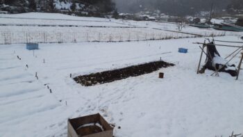 雪景色～広島の建築設計ブログ～