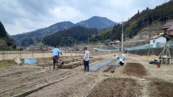 畑仕事～広島の建築設計ブログ～