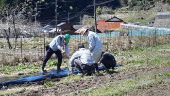 春は畑が忙しい～広島の建築設計ブログ～