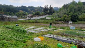 田植え～広島の建築設計ブログ～