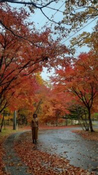 紅葉～広島の建築設計ブログ～