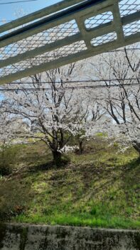 広島市　建築設計事務所　かんくう建築デザイン