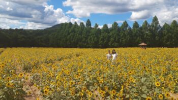 ソワソワ～広島の建築設計ブログ～