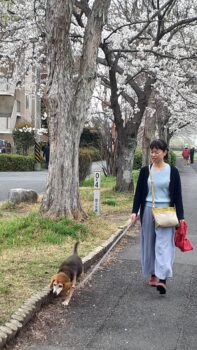 広島市　建築設計事務所　かんくう建築デザイン