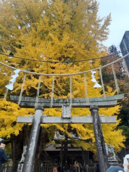 広島市　建築設計事務所　かんくう建築デザイン