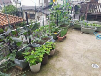 広島市　建築設計事務所　かんくう建築デザイン