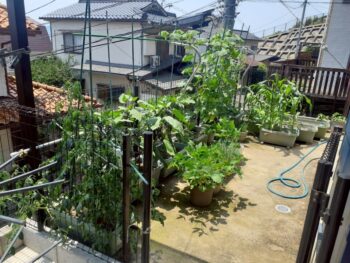 広島市　建築設計事務所　かんくう建築デザイン