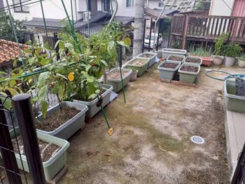 広島市　建築設計事務所　かんくう建築デザイン