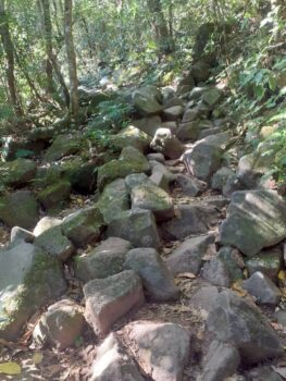 広島市 建築設計事務所 かんくう建築デザイン