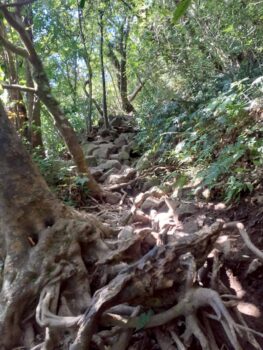 広島市 建築設計事務所 かんくう建築デザイン