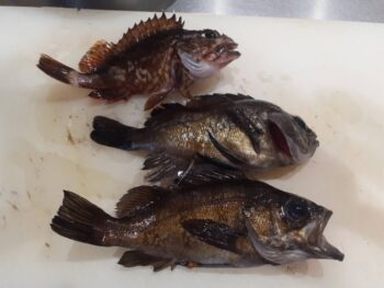 広島市　建築設計事務所　かんくう建築デザイン