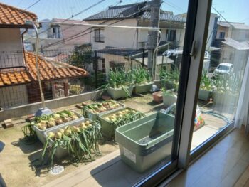 広島市 建築設計事務所 かんくう建築デザイン