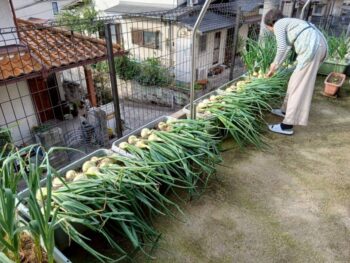 広島市 建築設計事務所 かんくう建築デザイン